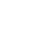 logo ds